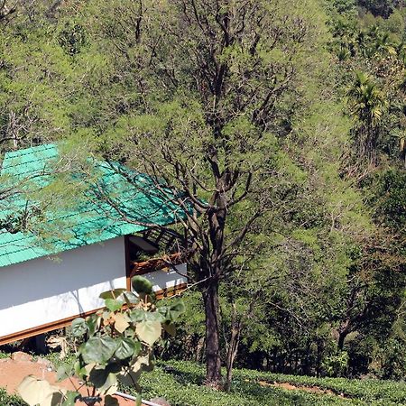 Vythiri Hills Exterior foto